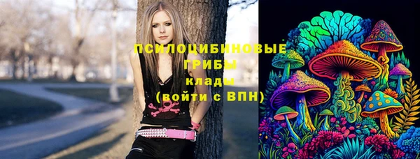 сатива Алексин
