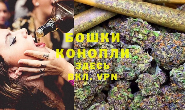 дмт Аркадак