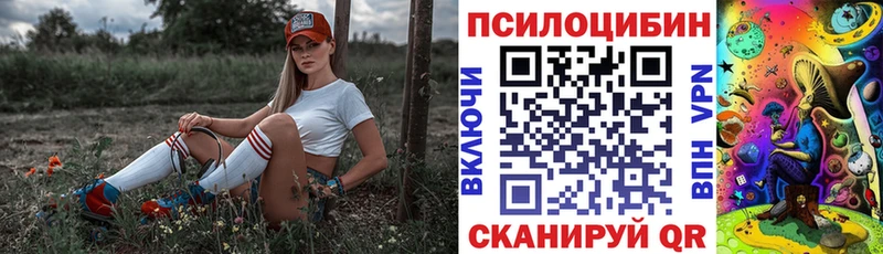 купить закладку  Курган  Псилоцибиновые грибы Psilocybe 